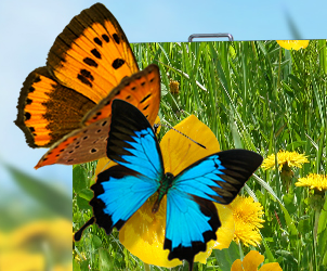 mile米乐集团对户外LED显示屏的验收标准详情