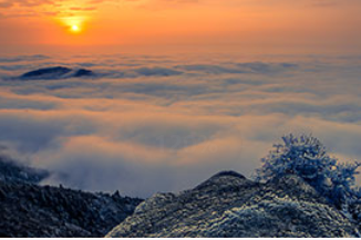 af8feb78a4ee41d8b91abce37be9535.png af8feb78a4ee41d8b91abce37be9535.png