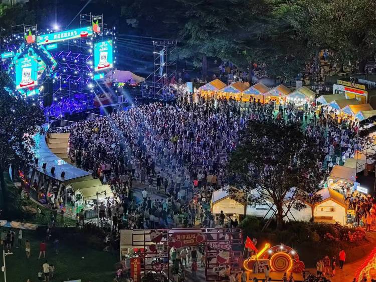 黄田荔枝文化节LED显示屏 舞台LED显示屏