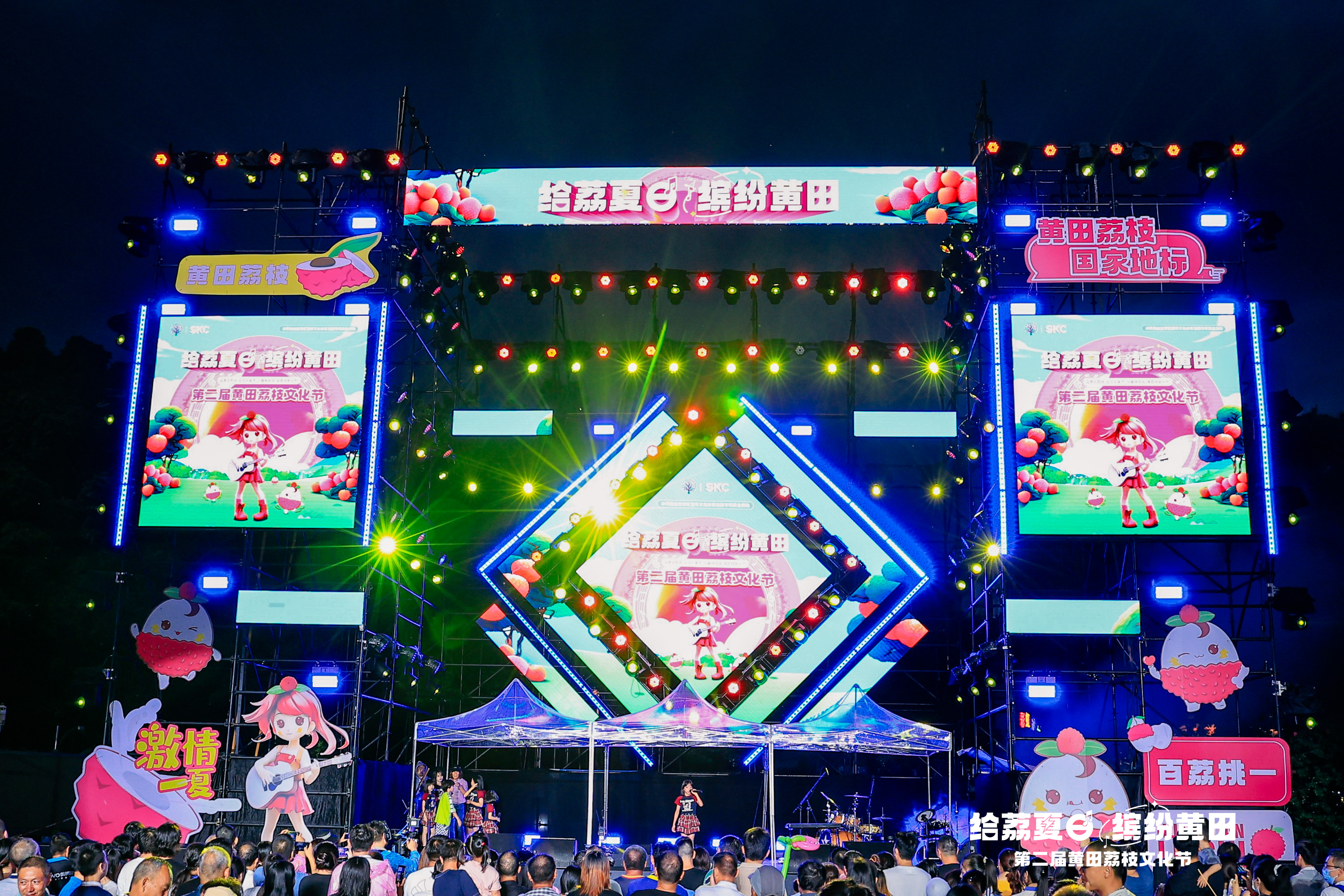 黄田荔枝文化节 黄田荔枝文化节